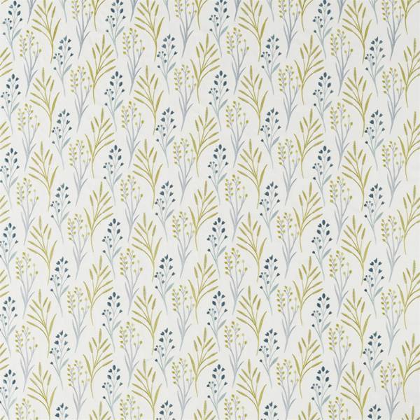 Kinniya | Grasshopper