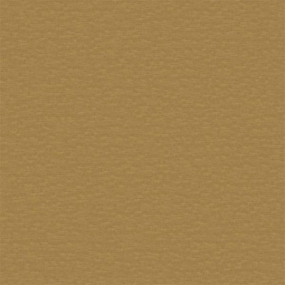 Esala Plains Lemonade