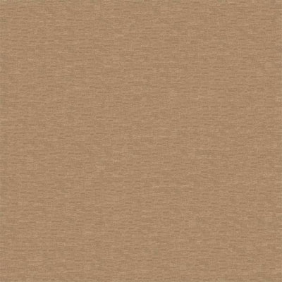 Esala Plains Macadamia