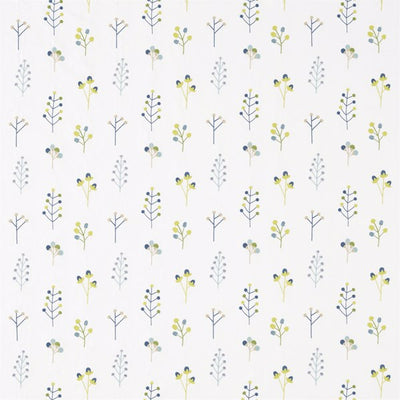 Mukula | Gecko/citrus/pacific