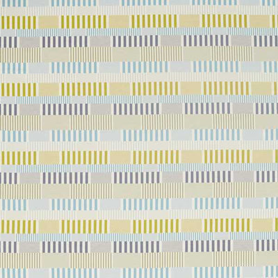 Cerro Marine/Kiwi/Midnight