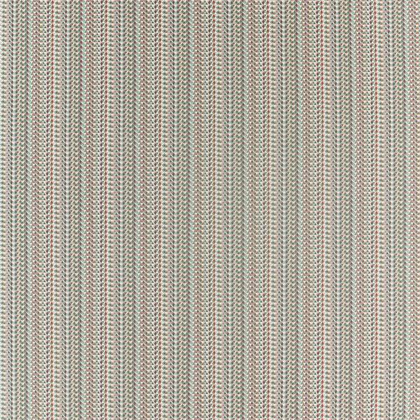 Concentric | Wildflower