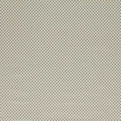 Domino Spot Flint Grey